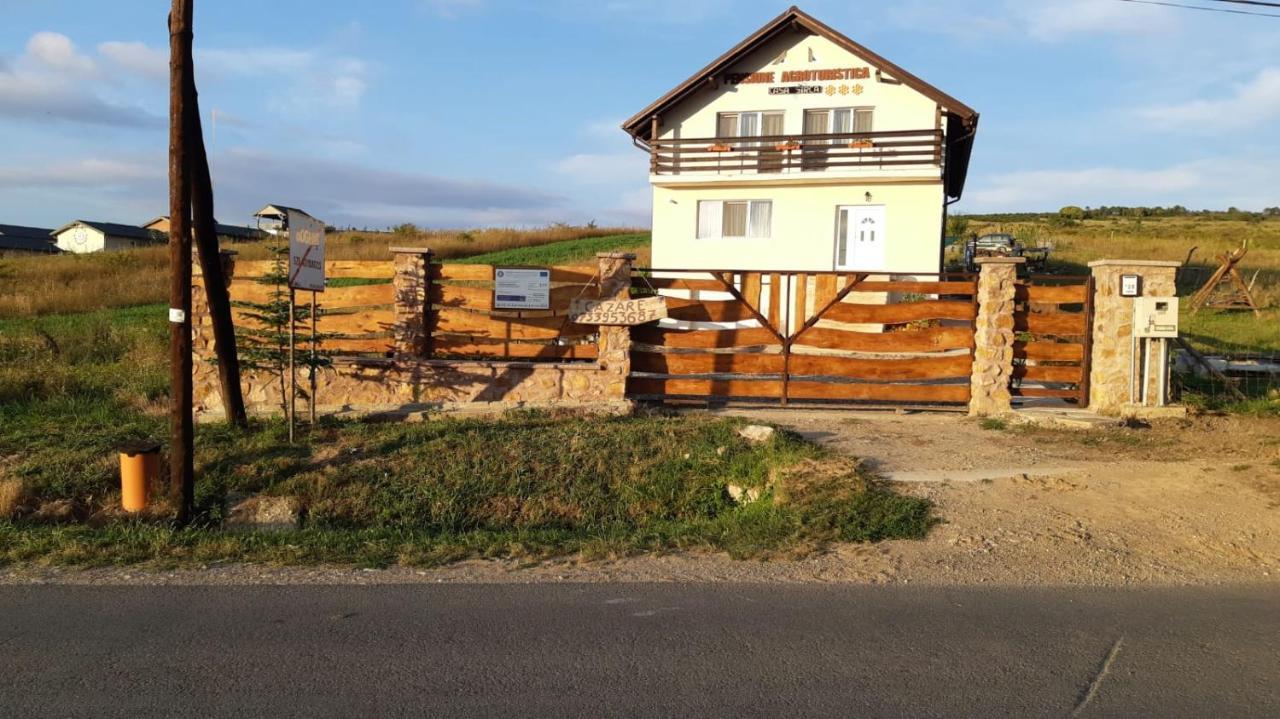 Pensiunea Agroturistica Casa Sirca Boghiş Εξωτερικό φωτογραφία