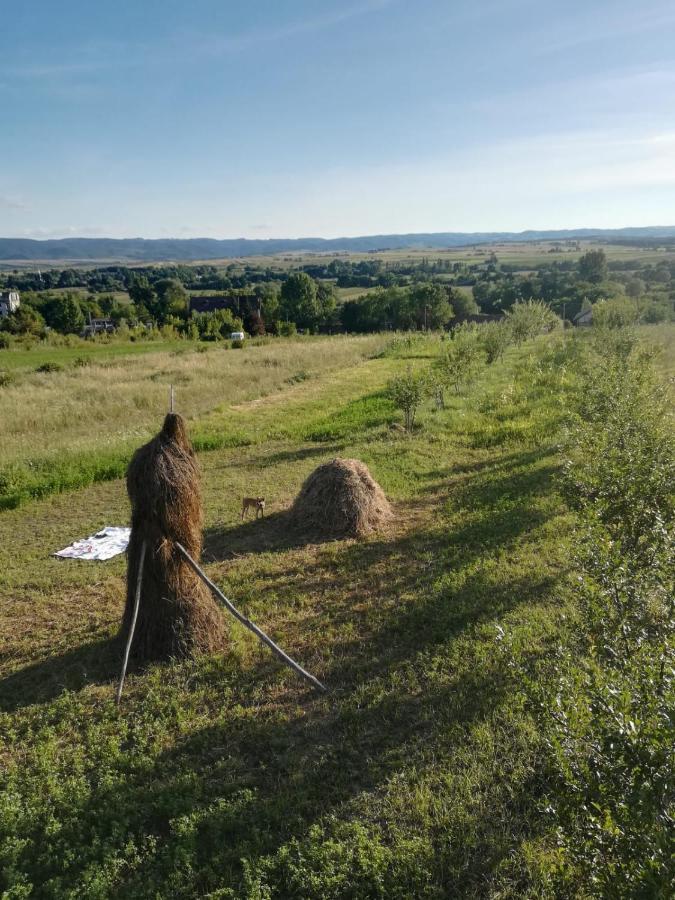 Pensiunea Agroturistica Casa Sirca Boghiş Εξωτερικό φωτογραφία