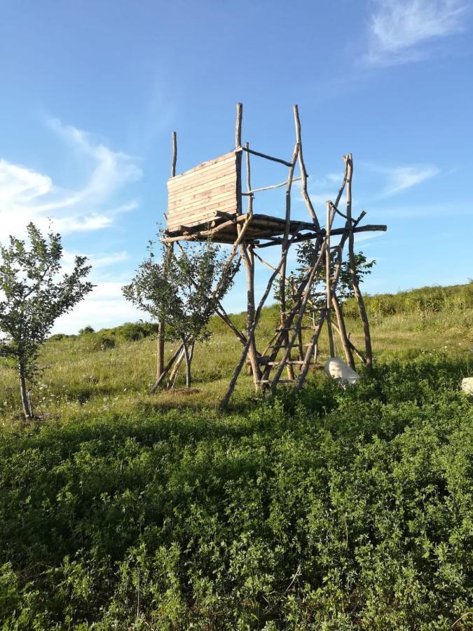 Pensiunea Agroturistica Casa Sirca Boghiş Εξωτερικό φωτογραφία