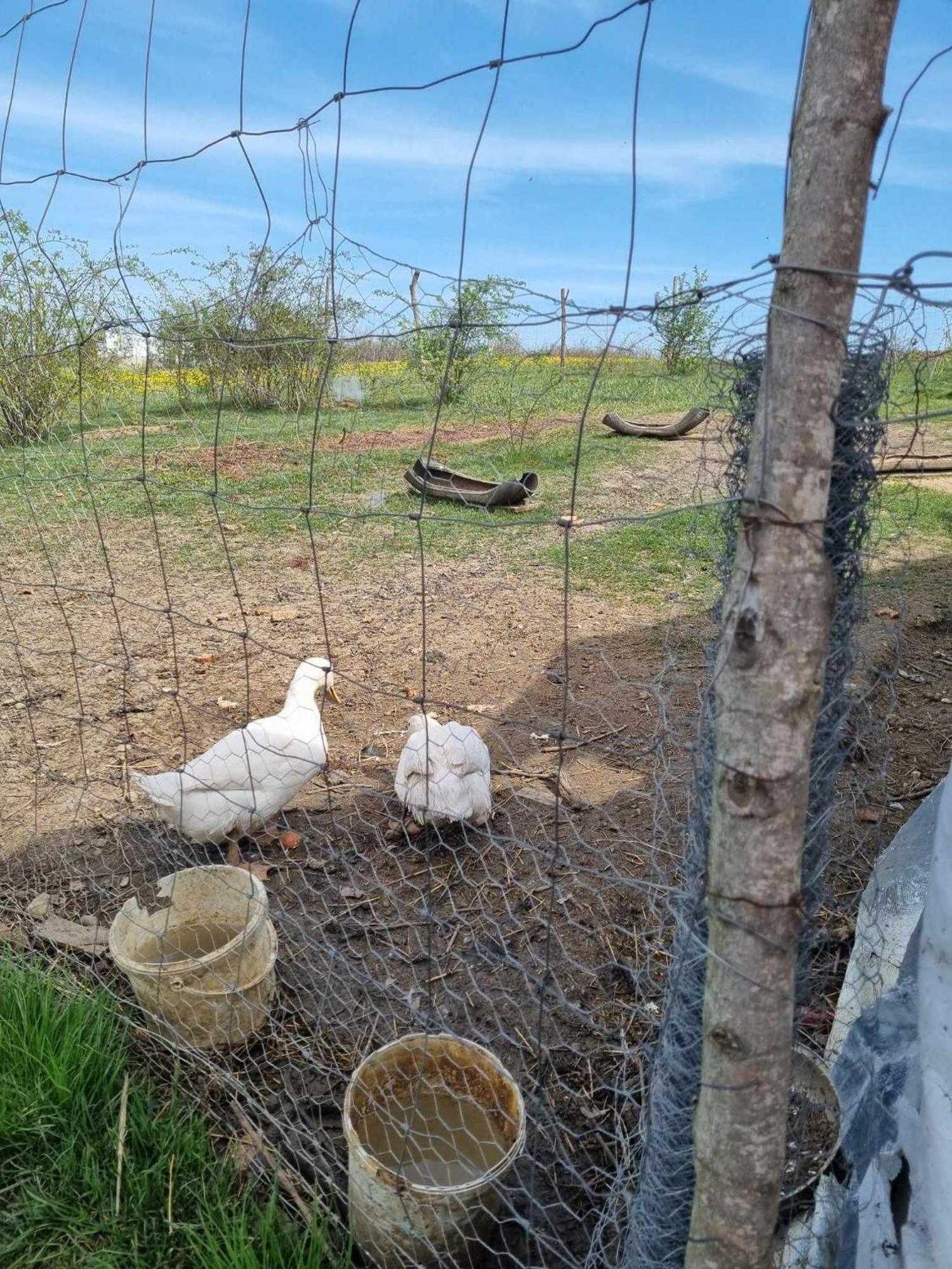 Pensiunea Agroturistica Casa Sirca Boghiş Εξωτερικό φωτογραφία